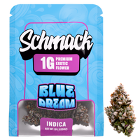 1G INFUSED THCP FLOWER | BLUE DREAM