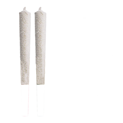 2 Pack Snow Prerolls | Blue Dream - Indica