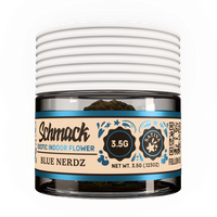 BLUE NERDS