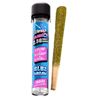 CANNON KIEF COATED & HASH INFUSED 2.5G PREROLL | BLUE DREAM