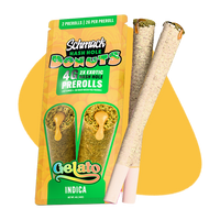 DONUTS HASH INFUSED 4G PREROLL | GELATO