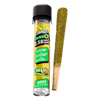 CANNON KIEF COATED & HASH INFUSED 2.5G PREROLL | GELATO